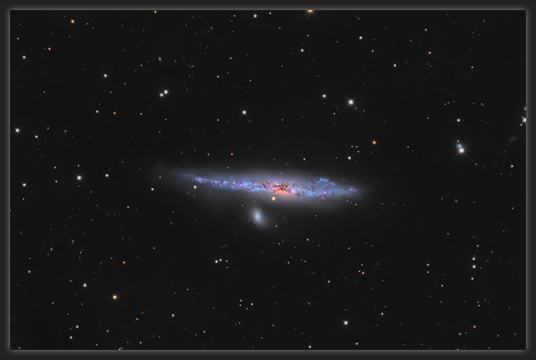 NGC4631